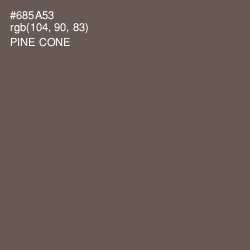 #685A53 - Pine Cone Color Image